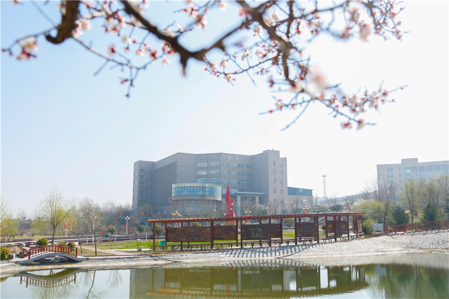 2023 Blossom in the Warm Spring
