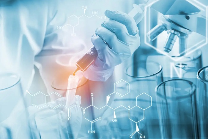 Environmental Sciences