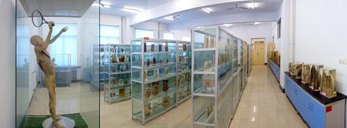 1725600513503958.png 39_180514153334_1解剖.png