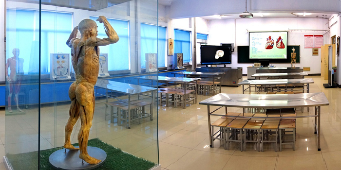 1725601076510145.png 39_180514153522_1 数字化.png