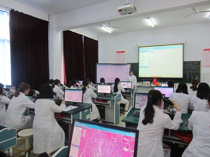 1725601724785438.png 39_180514153819_1 (1).png