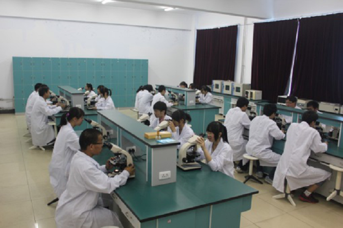 1725601925967028.png 39_180514153932_1 微生物.png