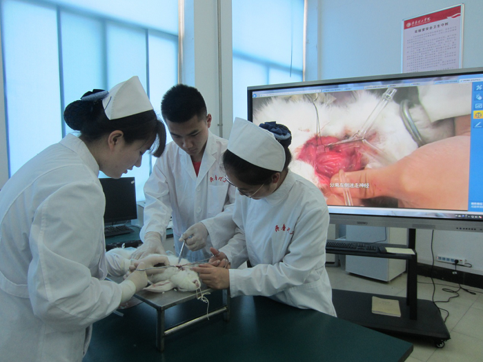 1725603306918049.png 39_180514154156_1.png